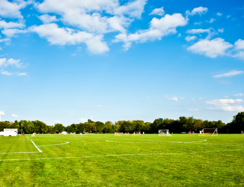 Sports Field Grass Cutting and Line Marking for Schools and Football Clubs