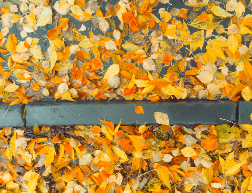 Why Grounds Maintenance Is Essential for Business Health & Safety