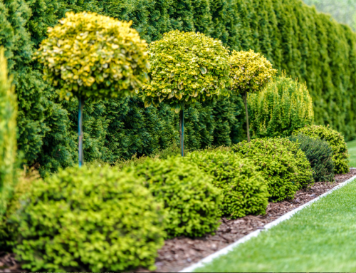 Top 5 Grounds Maintenance Mistakes (And How to Avoid Them)