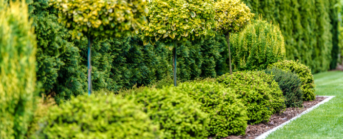 grounds maintenance mistakes - a mistake free outdoor space