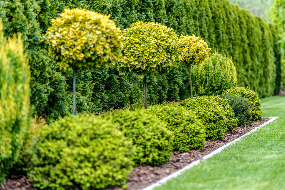 grounds maintenance mistakes - a mistake free outdoor space