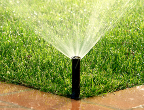 Eco-Friendly Landscaping: How Manchester Organisations Can Go Green Without Going Over Budget