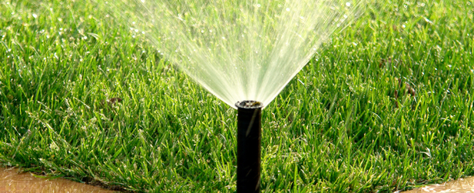 rain water irrigation