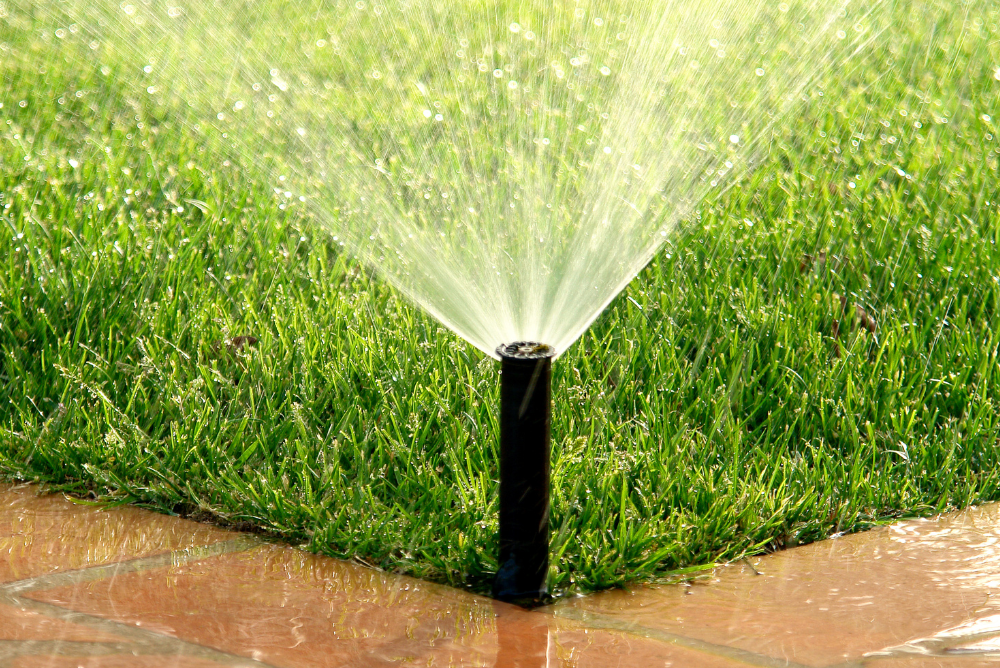 rain water irrigation