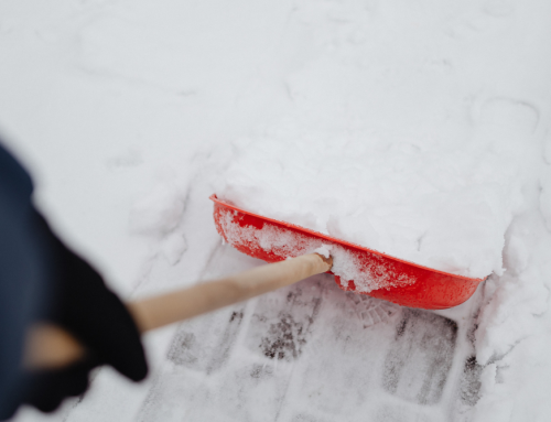 Keeping Your Site Safe, Smart and Spring-Ready